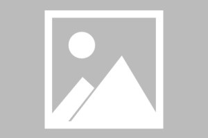 世界乒坛明星教练国际巡讲第40季城市名单公布，乒乓球世界职业联队教练