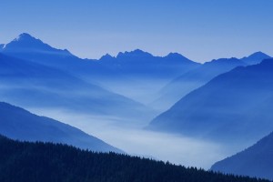 世界马术赛事马厩管理与动物福利新规生效，国际马术比赛的马多少钱