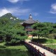 J联赛的“地域扎根”：俱乐部与社区的深度绑定